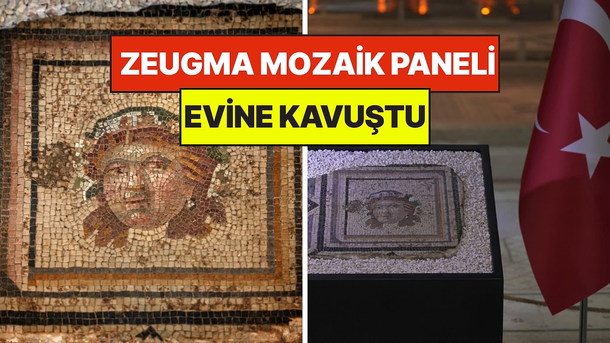 ABD'den İade Edilen Meşhur Zeugma Mozaik Paneli Nihayet Evine Kavuştu
