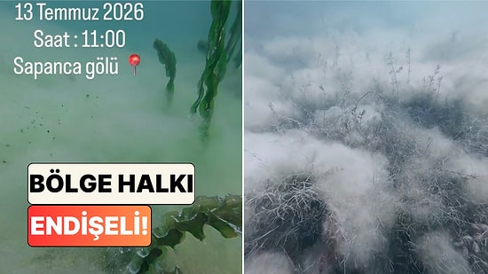 Bölge Halkı Endişeli: Sapanca Gölü'nün Dibinde Oluşan Beyaz Örtü Su Altı Kamerasıyla Görüntülendi