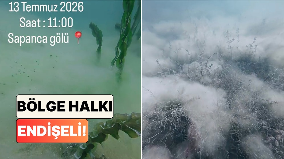 Bölge Halkı Endişeli: Sapanca Gölü'nün Dibinde Oluşan Beyaz Örtü Su Altı Kamerasıyla Görüntülendi