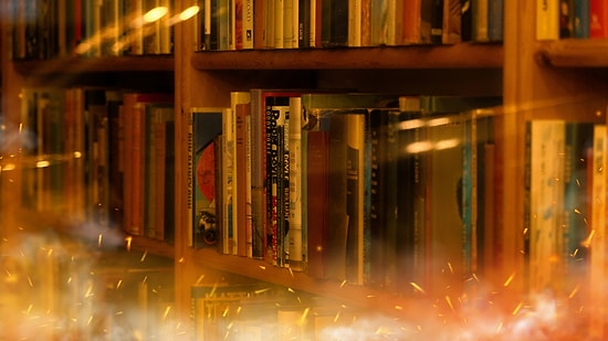 Books were Purchased to Train Artificial Intelligence, Then Destroyed