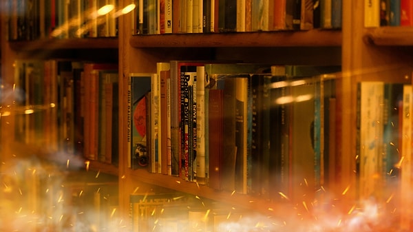 Books were Purchased to Train Artificial Intelligence, Then Destroyed