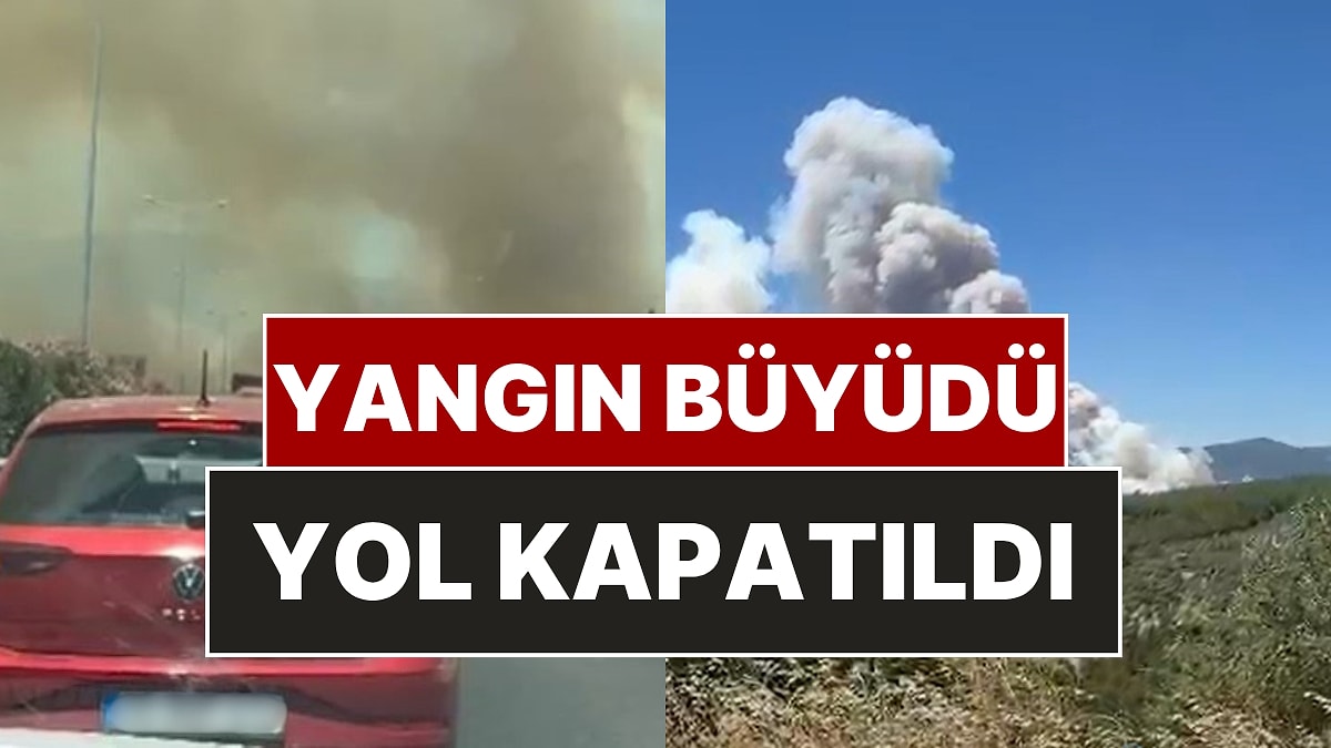 Manisa'da Orman Yangını: Alevler İzmir-İstanbul Otoyolu'na Ulaştı