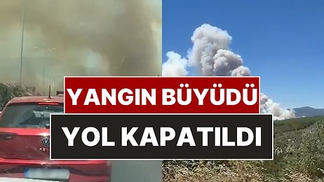 Manisa'da Orman Yangını: Alevler İzmir-İstanbul Otoyolu'na Ulaştı