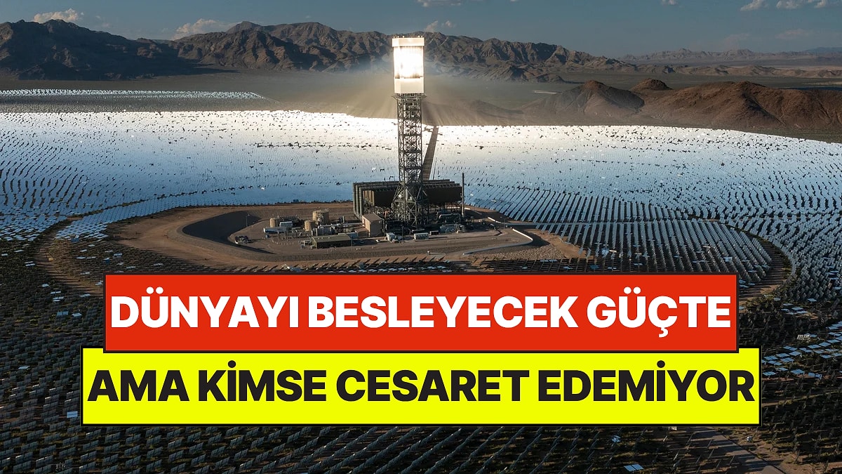 Tüm Dünyayı Besleyecek Güçte Bir Proje Ama Kimse Yapmaya Cesaret Edemiyor