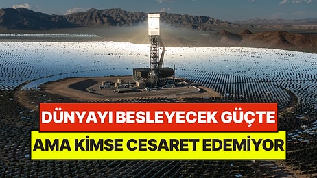 Tüm Dünyayı Besleyecek Güçte Bir Proje Ama Kimse Yapmaya Cesaret Edemiyor