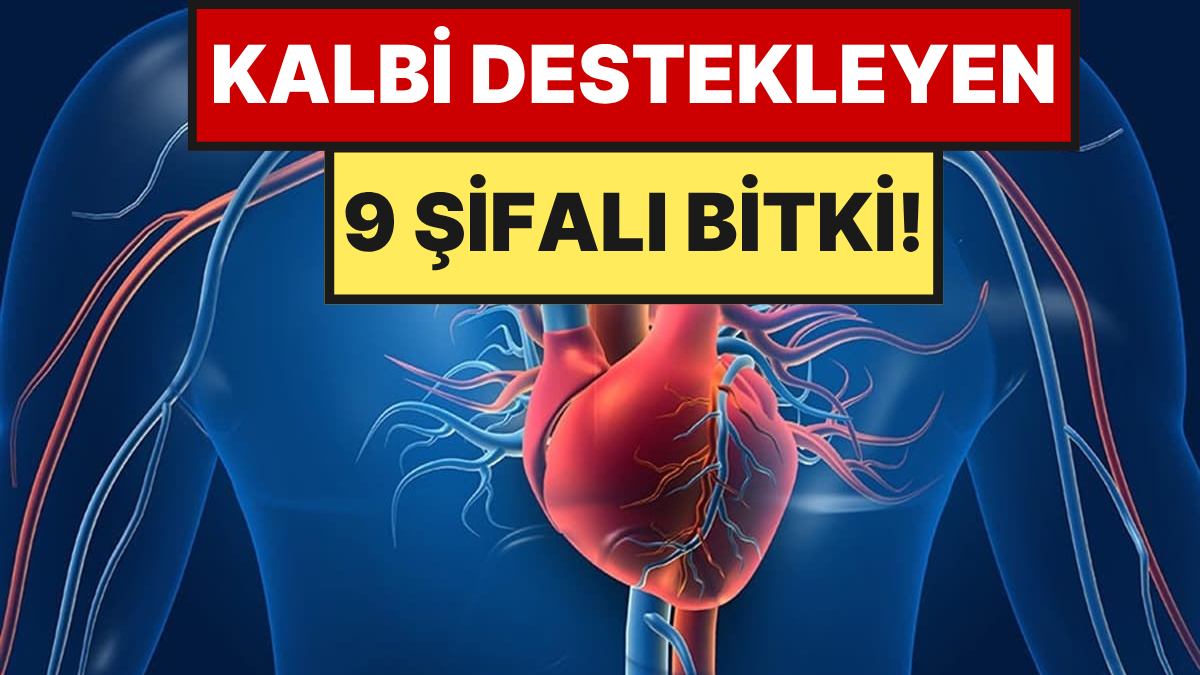 s-bce535c4dfdcf34c651ac2789e2dee0e05a1f5fb.jpg
