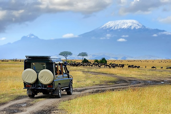 Kenya Safari Turu!