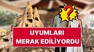 Show TV'nin Yeni Dizisi Sevdan Bir Ateş'in Başrollerinden İlk Partner Fotoğrafı Geldi
