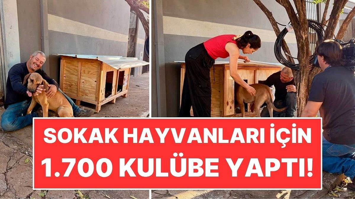 Marangozluk Bilmeyen Kamyoncu 1.700 Kulübe Yaptı: 5 Bin Sokak Hayvanına Yardım Etti