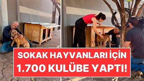 Marangozluk Bilmeyen Kamyoncu 1.700 Kulübe Yaptı: 5 Bin Sokak Hayvanına Yardım Etti