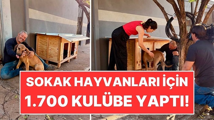 Marangozluk Bilmeyen Kamyoncu 1.700 Kulübe Yaptı: 5 Bin Sokak Hayvanına Yardım Etti