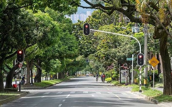 2016 yılında başlatılan "Yeşil Koridorlar" (Green Corridors) projesi kapsamında, daha önce birbirinden kopuk olan yeşil alanlar devasa bir ekolojik ağla birbirine bağlandı.