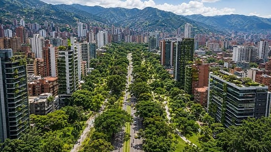 They Lowered City Temperature by Planting 880,000 Trees in Concrete