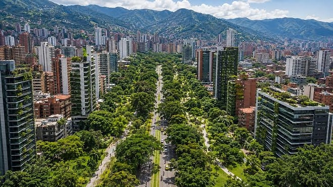 They Lowered City Temperature by Planting 880,000 Trees in Concrete