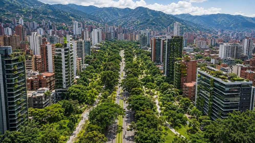 They Lowered City Temperature by Planting 880,000 Trees in Concrete