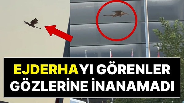 Görenler Gözlerine İnanamadı: Şehrin Üzerinde Uçan Ejderha Paniğe Neden Oldu!
