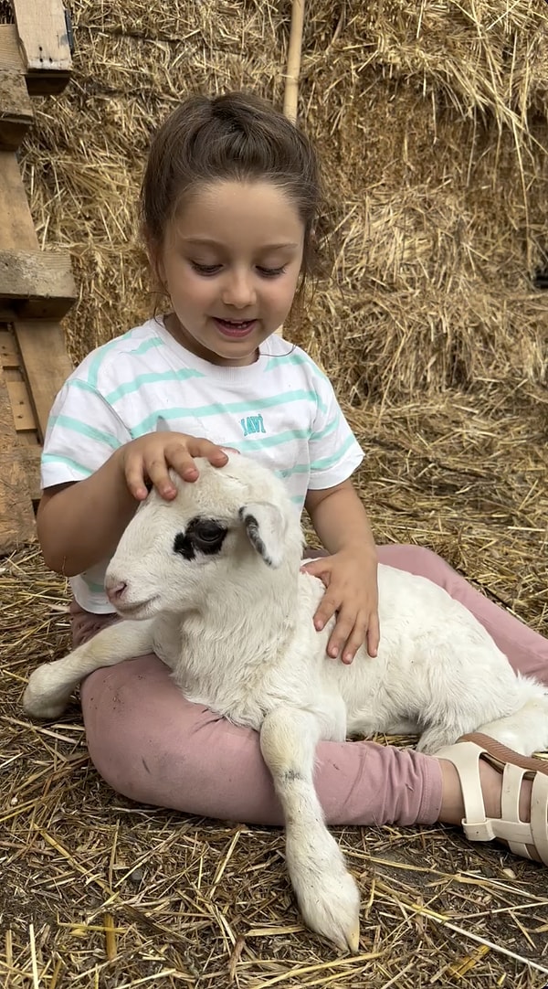 Sosyal medyada görmüşsüzdür. Tatlı mı tatlı Umay, hayvanlarını tanıttığı videolar paylaşıyor.
