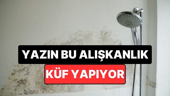 Sıcak Havalarda Bu Hataları Yapmayın: Evde Küf Oluşumunu Tetikleyebilir