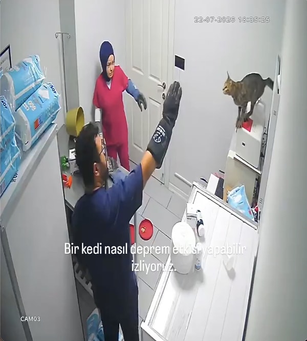 Veteriner kliniğinde işlem yapılmak üzere taşıma çantasından çıkarılan bir kedi, paniğe kapılınca olanlar oldu.