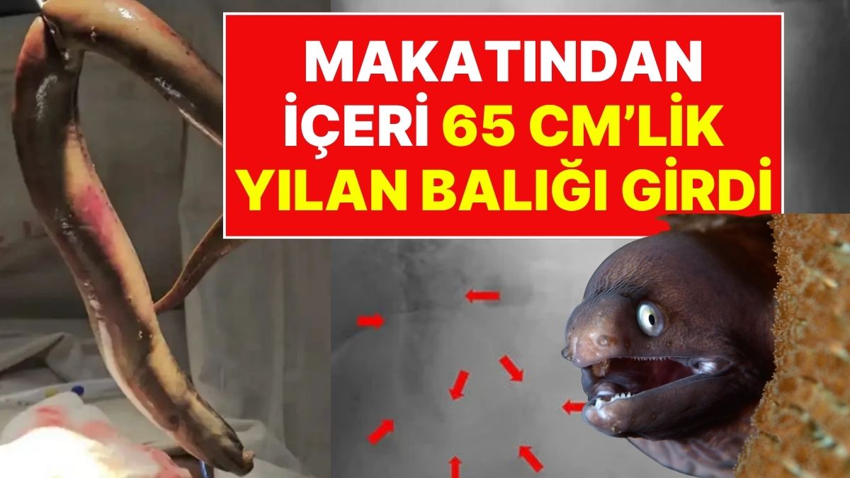 s-259d746e93960b83f62d3cc75ded0fedbeada0aa.jpg