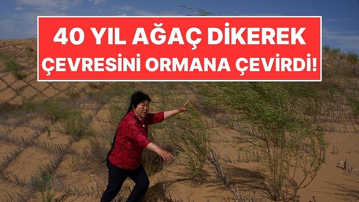 Evi Kuma Gömülürken Ağaç Dikmeye Devam Etti: Çevresi Ormana Dönüştü