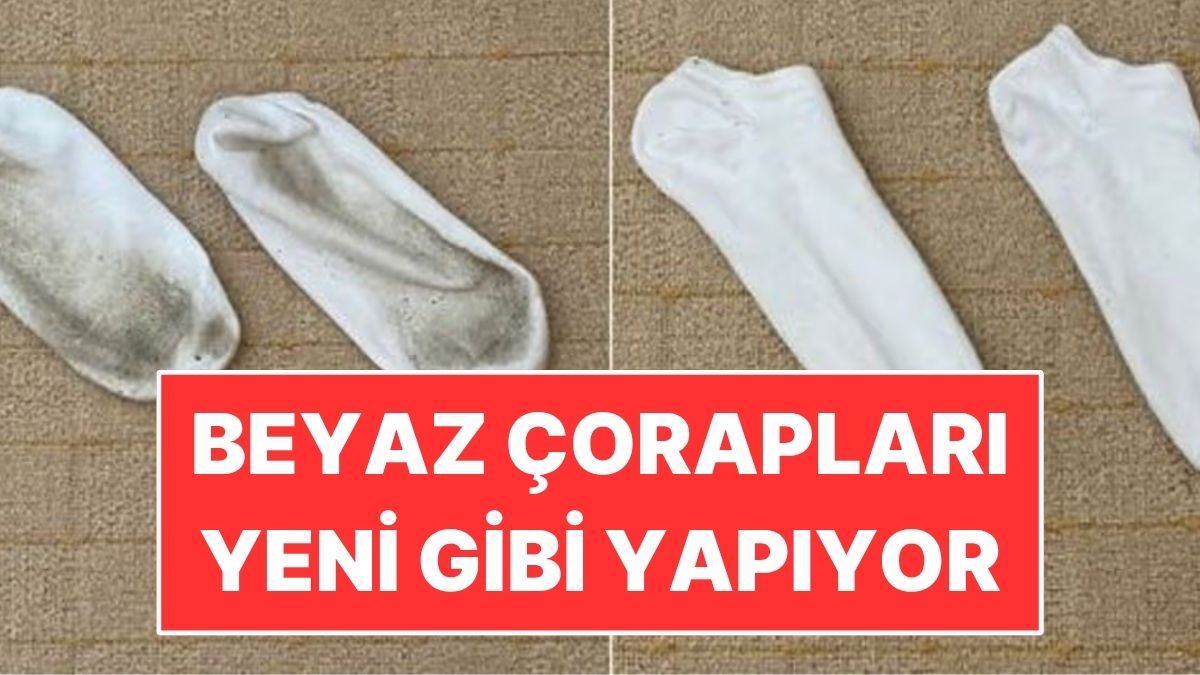 s-ee37fd2264a1a68f7f56b4523ac7c60e06f5f7c0.jpg