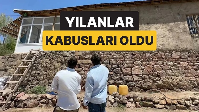 Yılanlar Evi İstila Etti: Aile Geceleri Uyuyamıyor