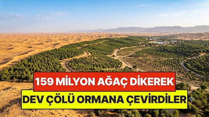 Çölün Ortasında İmkansız Başardılar: Sadece 5 Yılda 159 Milyon Ağaç Diktiler
