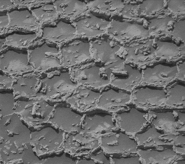Mars'ın Geçmişinde Su Olabilir mi?