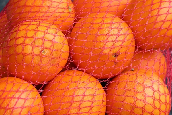 The red netting makes the orange appear more mature.