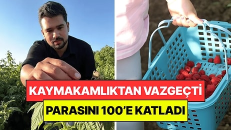 Kaymakamlıktan Vazgeçip Herkese İnat Hasat etti: Tek Başına Parasını 100’e Katladı