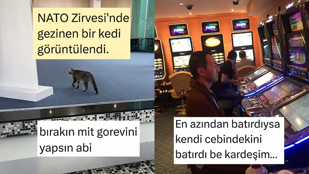 NATO Zirvesinin Damga Vurduğu Temmuz Ayının En Komik Tweetleri