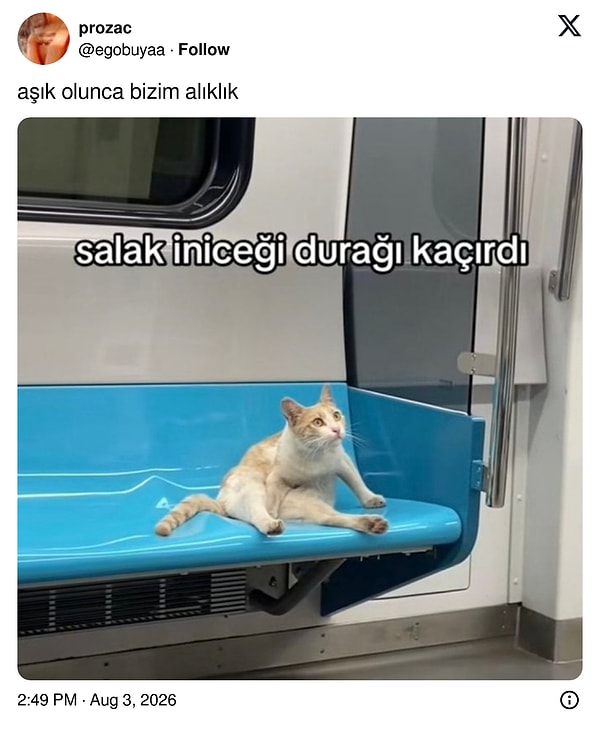 Yanıtlar da böyle: