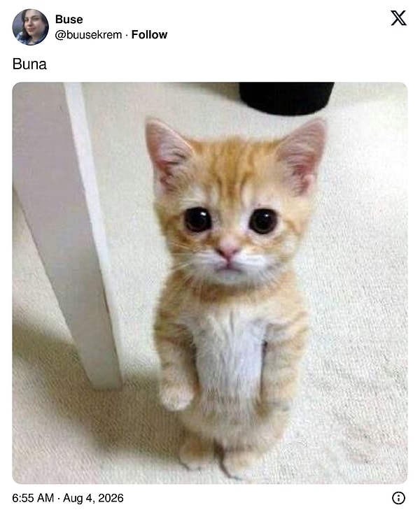 👇