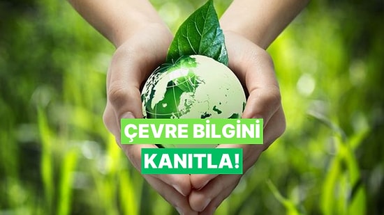 Bu Ekoloji ve Doğa Testini Sadece Gerçek Çevreciler Fulleyebilecek!