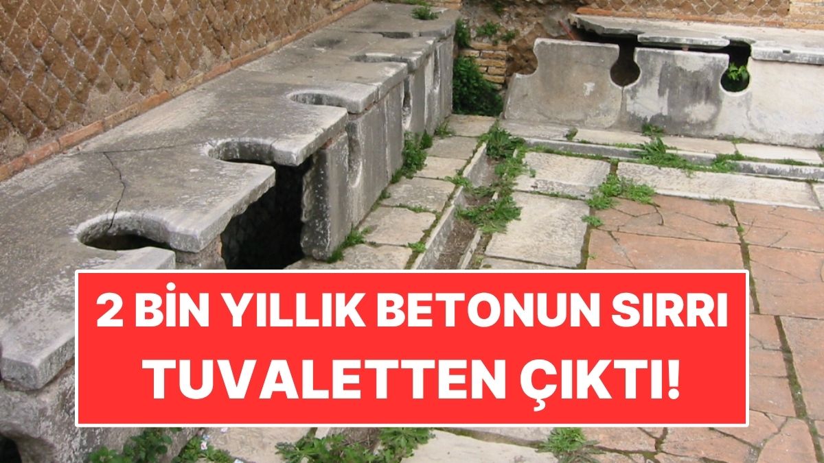 s-04501447514e30e2df5bb080b7c0588327a2bfd0.jpg