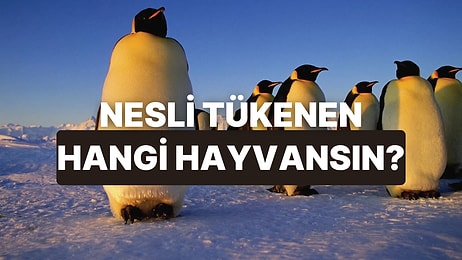 Sen Hangi Nesli Tükenmekte Olan Hayvansın?