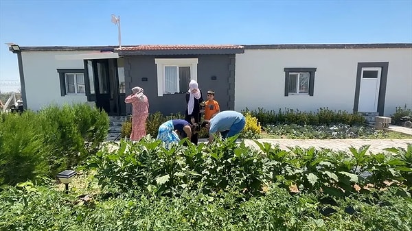 Bu otelde kalmak ücretsiz. Ancak tek bir şartı var: Günlük işlere yardım etmek.