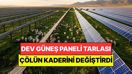 Çölün Ortasına Kurdukları Güneş Tarlası Çölün Kaderini Değiştirdi: Çiftçiler İçin Umut Oldu