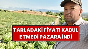 Manisa'da Hasat Zamanı: Tarladaki Fiyatı Beğenmeyince Çözümü Kendi Buldu