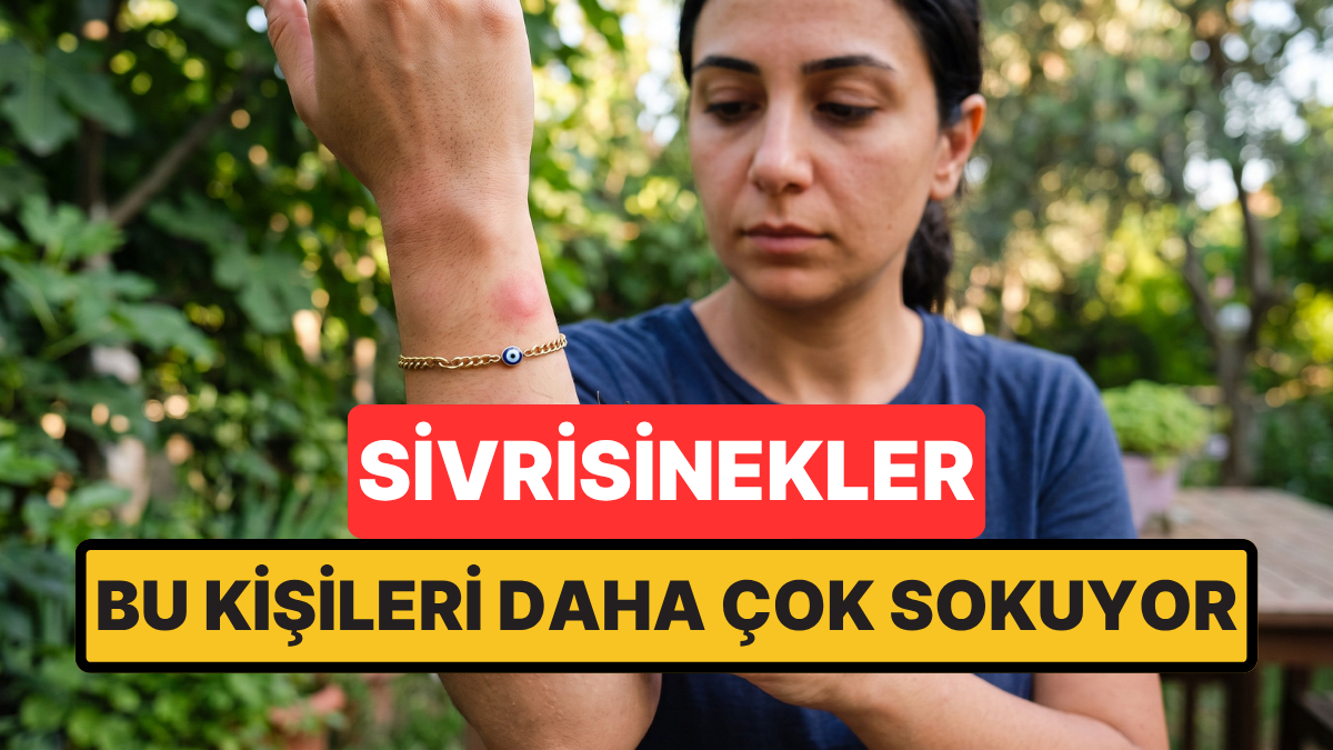 s-60aec9e6e88e64120aa085e8d6d6b12480a7c375.jpg