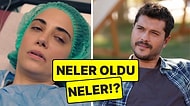 Kızılcık Şerbeti'nde Nursema'nın Ölmesinden Final Yapan Dizinin Reytingine TV Dünyasında Bugün Yaşananlar