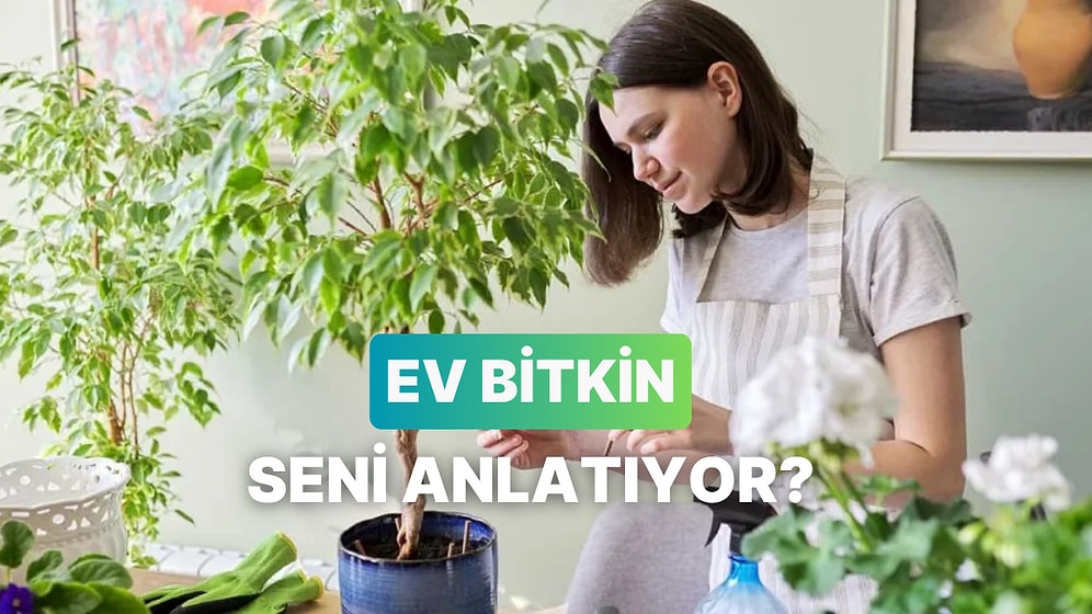 Sen Hangi Ev Bitkisi Olurdun?