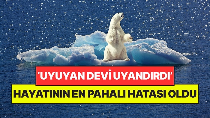 Kutup Ayısını Uyandırarak Hayatının En Pahalı Hatasını Yaptı: Canından Değil, Malından Oldu