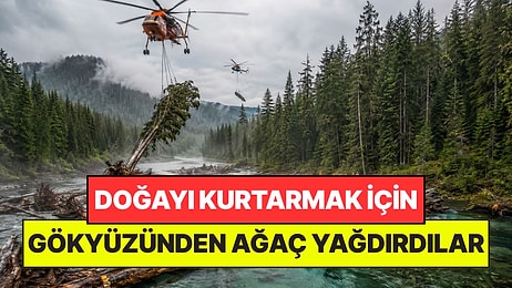 Doğayı Kurtarmak İçin 5 Gün Boyunca Gökyüzünden Helikopterle 900 Ağaç Yağdırdılar