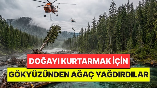 Doğayı Kurtarmak İçin 5 Gün Boyunca Gökyüzünden Helikopterle 900 Ağaç Yağdırdılar