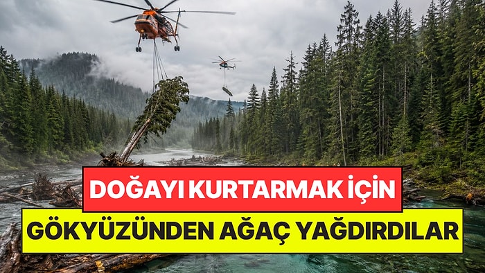 Doğayı Kurtarmak İçin 5 Gün Boyunca Gökyüzünden Helikopterle 900 Ağaç Yağdırdılar