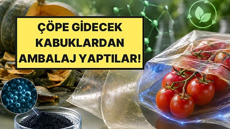 Çöpe Gidecek Kabuklardan Ürettiler: Domateslerin Ömrünü 20 Gün Uzatıyor