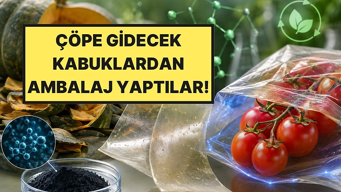 Çöpe Gidecek Kabuklardan Ürettiler: Domateslerin Ömrünü 20 Gün Uzatıyor