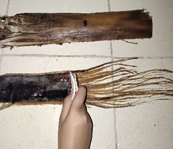 Muz gövdesinden elde edilen liflerin en dikkat çekici özelliklerinden biri dayanıklılığı. Araştırmalarda mekanik yöntemlerle çıkarılan muz liflerinin çekme dayanımının 570 megapaskala kadar ulaşabildiği belirlendi.